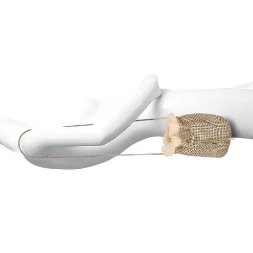 Badgley Mischka Adley Drawstring Bag with Ruffled Tulle Rhinestone Purse Gold