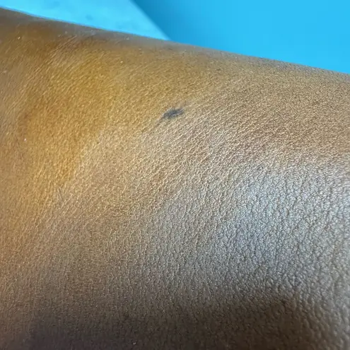 Patricia Nash Leather Heritage Shoulder Bag Brown Saddle Flap Purse