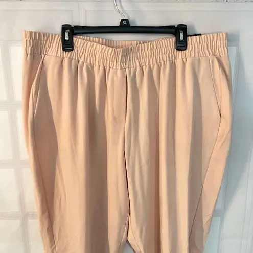 Lane Bryant  NWT Pink Elastic Waistband Relaxed Mid Rise Joggers Size 18/20