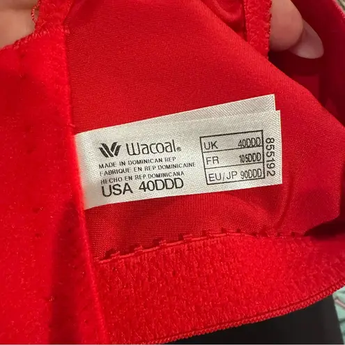 Wacoal RED SATIN UNDERWIRE FULL FIGURE BRA 40DDD