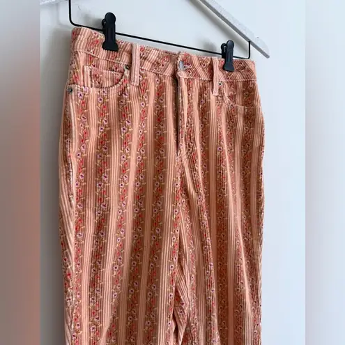 BDG Urban Outfitters  Corduroy Striped Floral Pants Size 25