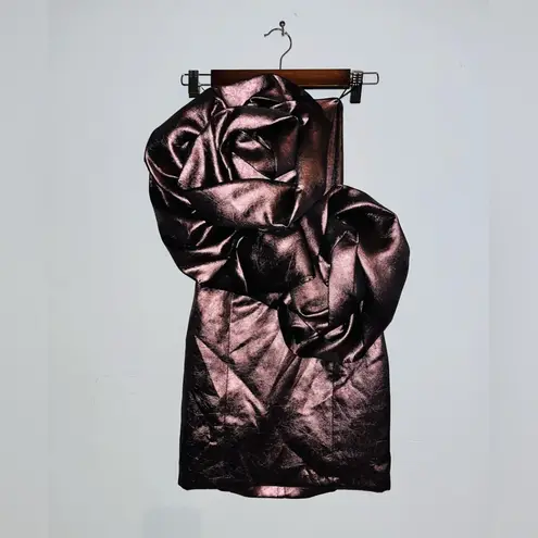 ZARA  Voluminous Flower Dress sz XS NEW!!