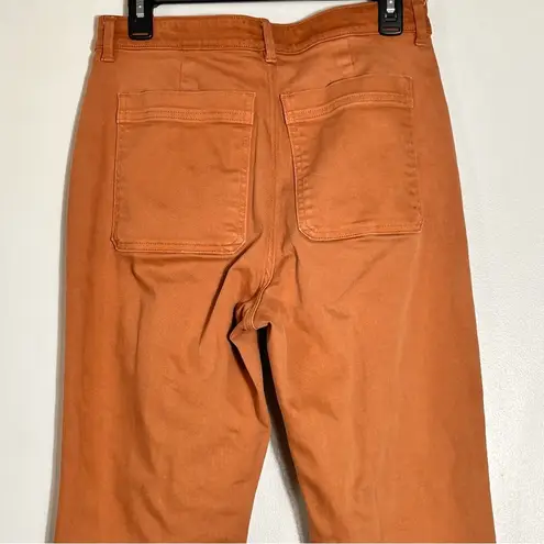 Everlane Cropped Straight Regular Pant- Size 10  Copper Rust