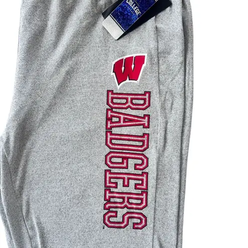 NCAA Wisconsin Badgers Women's Sleep Lounge Sweatpants in Heather Grey, 2XL Gray Size undefined