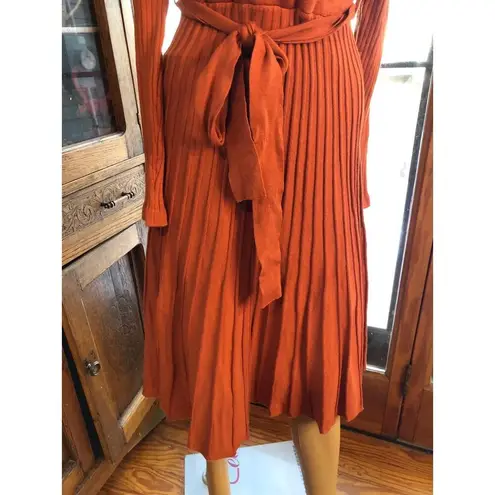 NWT Zesica Rust Pleated Long Sleeve V