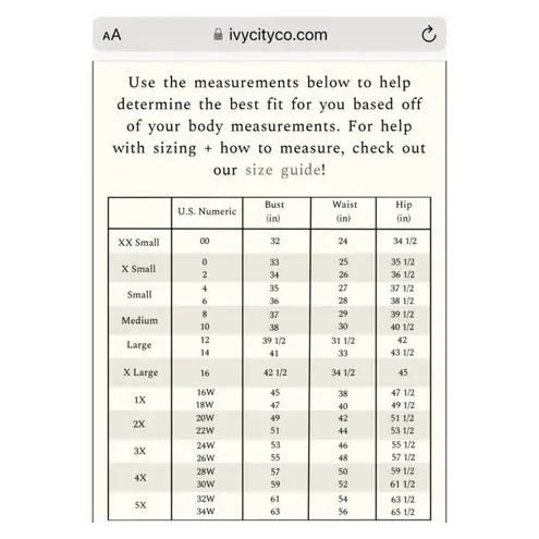 Ivy City Co Black Floral Havana Dress Sz.L NWT Size L