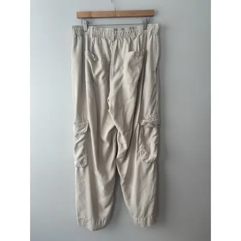 Quince Women's Vintage Wash Tencel Drawstring Cargo Pants Size Large In Shale