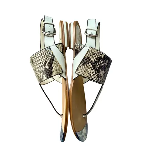 Isola Snakeskin Print Thong Sandals Silver Accent Buckle Strap Size 9M