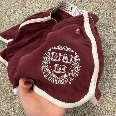 Maroon Knit Harvard Shorts Red