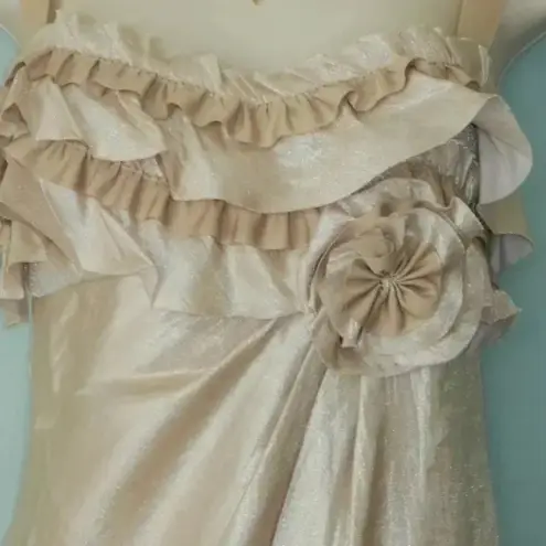 Boston Proper Y2K Rose Gold Shimmer Metallic Ruffle Sweetheart Neck Dress Size 2