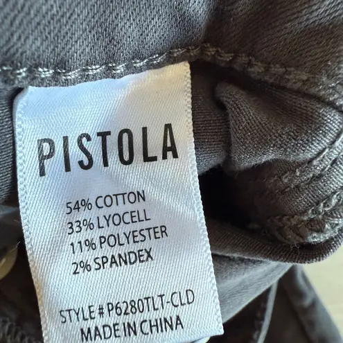 Pistola High Rise Button Front Cargo Pant Grey Size 26 NWT STITCH FIX
