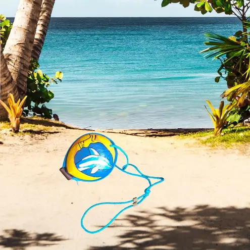 OOAK Coconut shell purse with dolphin hand painted. Blue