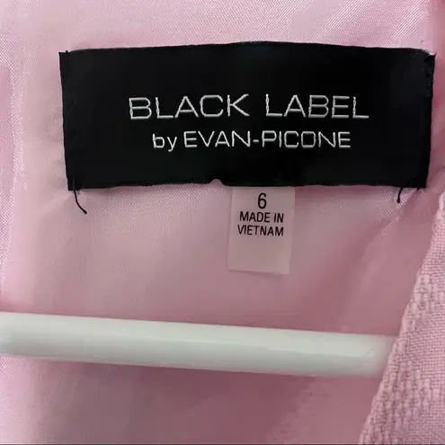 Black Label By Evan Picone Tutu Pink Sleeveless Sheath Dress Sz 6