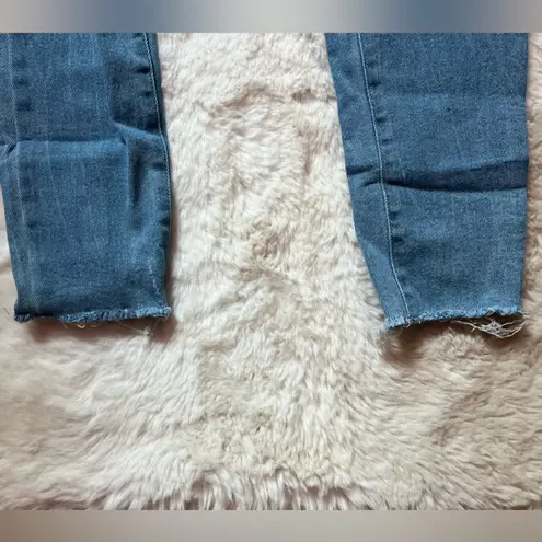 William Rast Skinny Jean