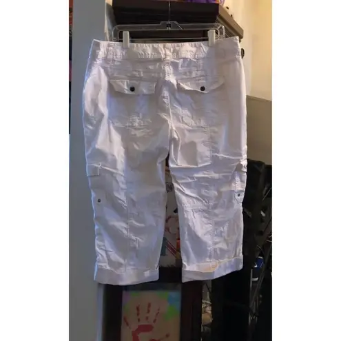 Apt. 9  Shorts Size 16