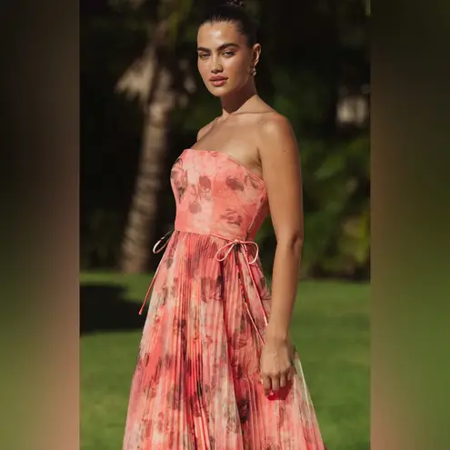 Hutch Costella Pink Blush Floral Tulle Gown Dress size 4