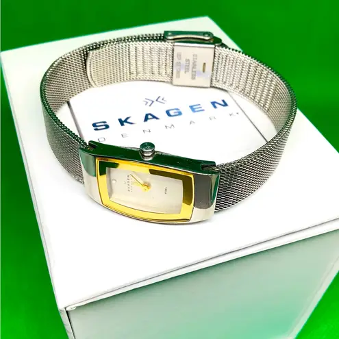 Ladies SKAGEN nice dressy watch 🌟🌟🌟 Silver