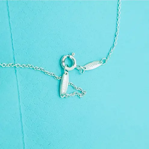 Tiffany & Co. Elsa Peretti 2 Carat Faceted Pendant Necklace Sterling Silver 16”