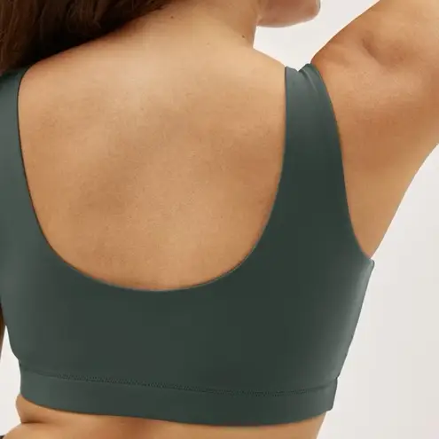 Everlane  The Perform Bra In Pine