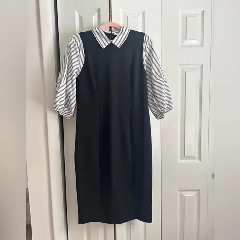 New York & Company Ponte Dress