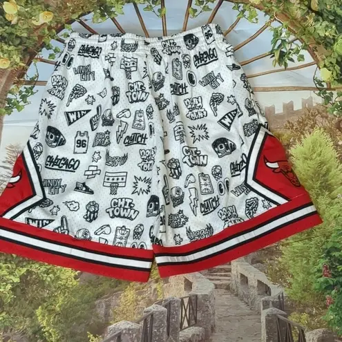 Mitchell & Ness  Kukoc Chicago bulls NBA doodle jersey and shorts size Med./ LG. - Image 10