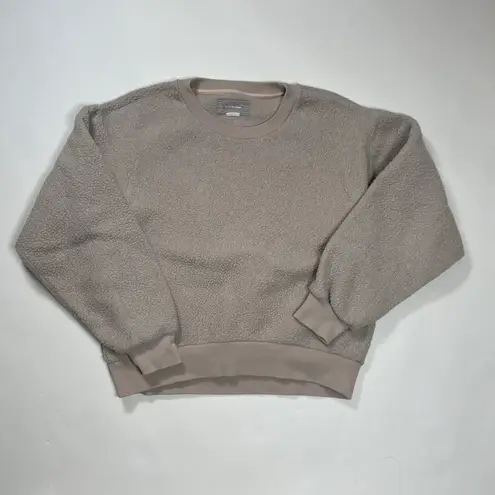 Everlane Sweater Women Small Beige Teddy Bear Pullover Crew Neck Cotton S