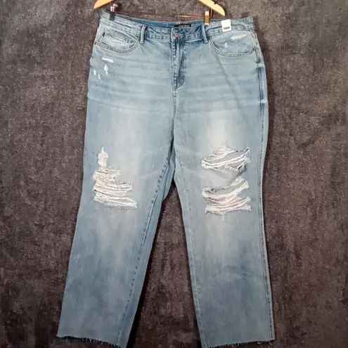 Judy Blue High waisted 90"s straight rigid distressed women's 20W jeans