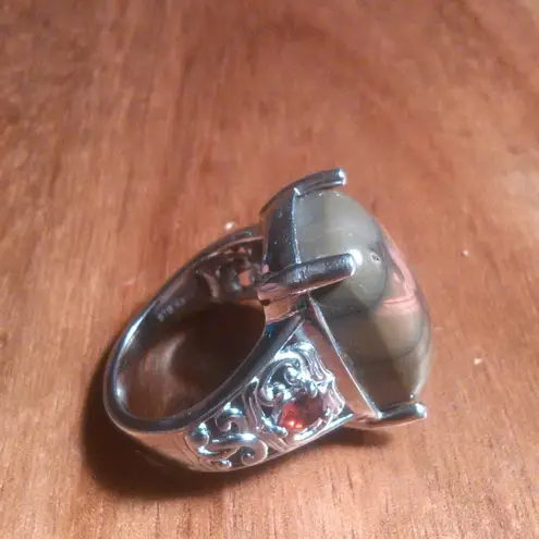 Venus Jasper and Mozambique Garnet Platinum Bond Ring (Size 7)