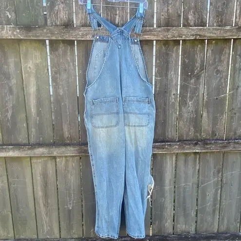 Wild Fable Denim Destroyed Distressed Overalls | M