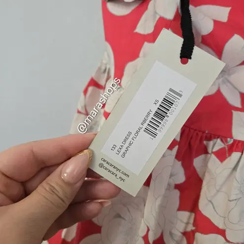 Cara Cara Lexa Ruffled Floral Mini Dress Size XS