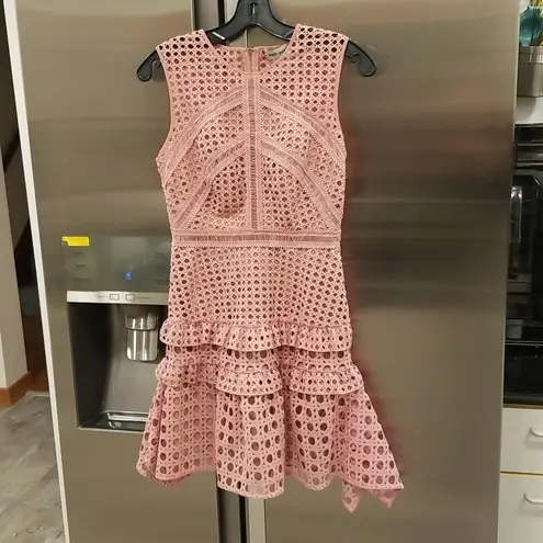 Self Portrait đź’•SELF-PORTRAITđź’• Crosshatch Frill Mini Dress ~ Guipure Lace Pink US 4 NWT
