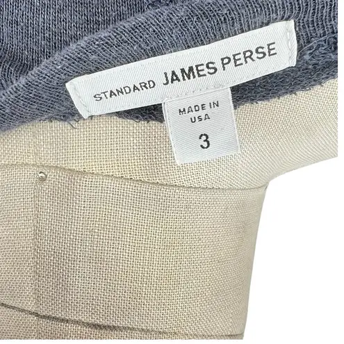 James Perse Raglan Sweatshirt Dress Long Sleeve Terry Tempest Blue Size 3 Large