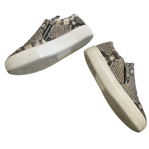 Steve Madden  Women's Glaammar Slip On Platform Sneaker In Snake - Gray, 7US