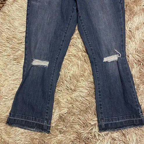 Dear John  Distressed Jeans Size 29