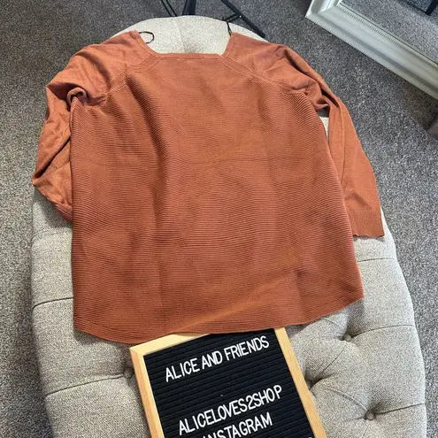 Cyrus V Neck Sweater NWOT