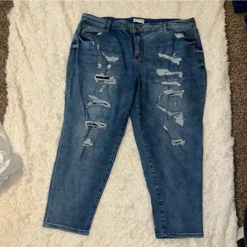 Lane Bryant  Distressed Size 24 Jeans