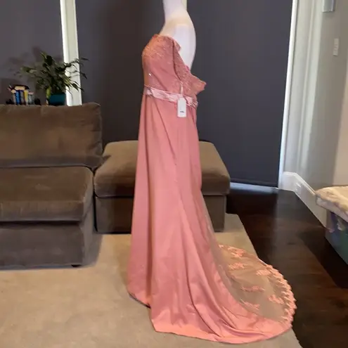 Women’s Dusty Pink Full Length Party Formal Dress Small Train Size 14 NWT