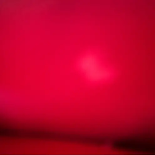 Shrek Donkey & Dragon Floral Crossbody Bag