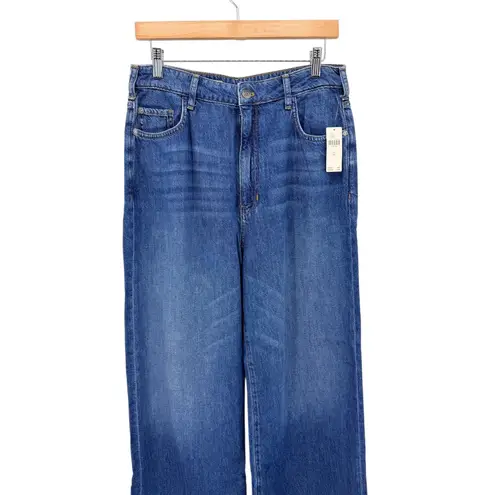 Pilcro Boho Baggy Wide Leg Barrel Leg Jeans Relaxed High Rise Size 31 NWT