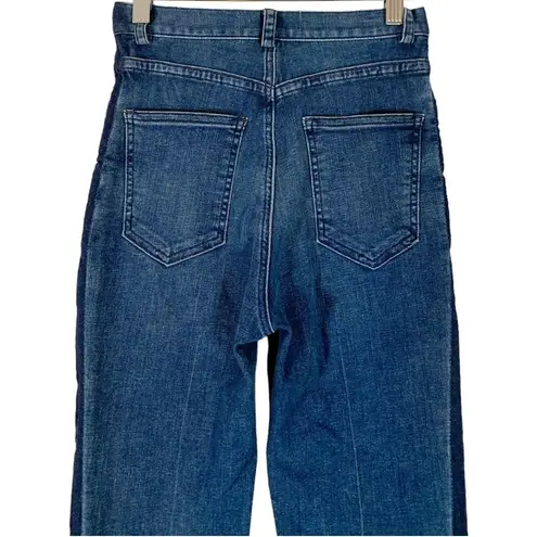 Rachel Comey Tux Stripe Denim High Waist Skinny Jeans Size 0