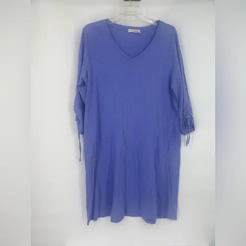 Fresh Produce Blue T-Shirt Dress size Large with pockets