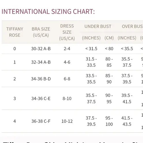 Tiffany Rose Maternity Chloe Lace V