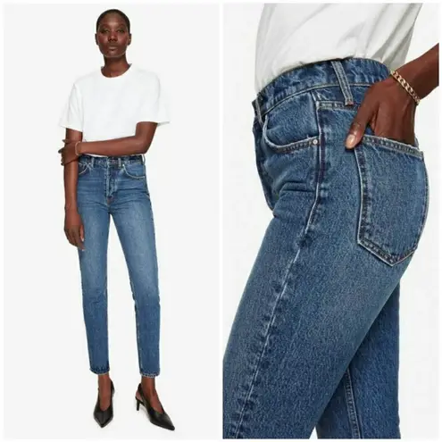 ANINE BING ππ Sonya Jean ~ Button Fly Mid Indigo Blue 27 NWOT