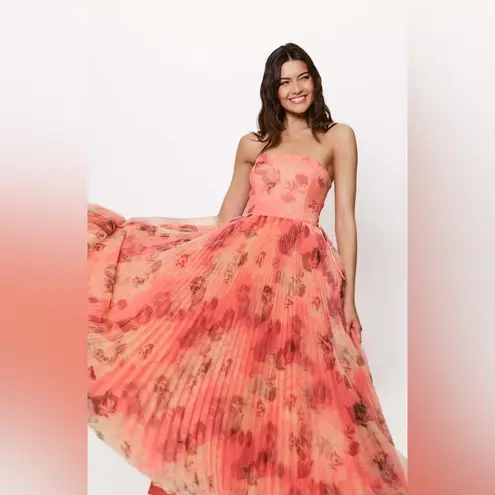 Hutch Costella Pink Blush Floral Tulle Gown Dress size 4