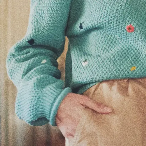 The Great . Poppy embroidered cotton knit sweater in sage size 1 (Small)