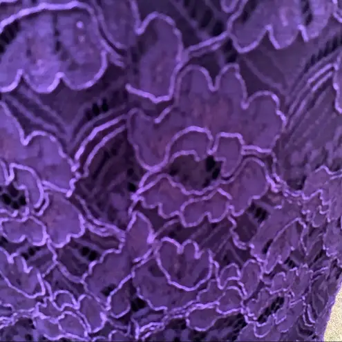 Laundry by Shelli Segal  Lace Overlay Dress