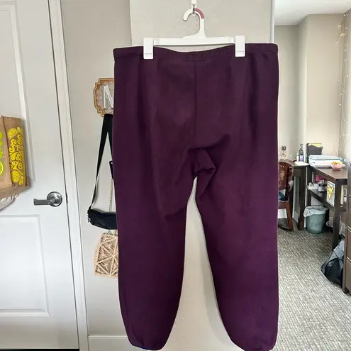 Patagonia  | Women’s Thermal Made In The USA Jogger Pants In Purple Size Large