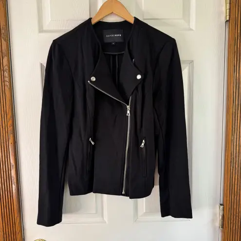 Alice Hope Moto Jacket Black Zip Up Blazer Career Office Fitted Size M Size M