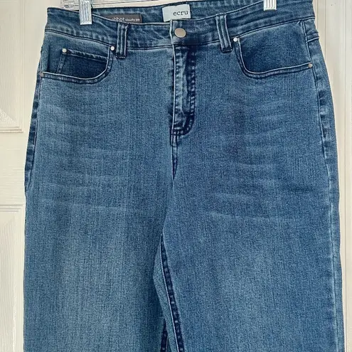 Ecru The Abbot Slouchy Jeans Dark Indigo Size 28 Straight Leg