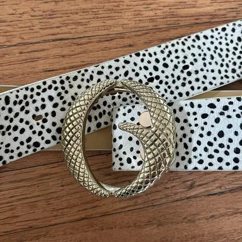 Cinch Clinch Belts Polka Dot Belt